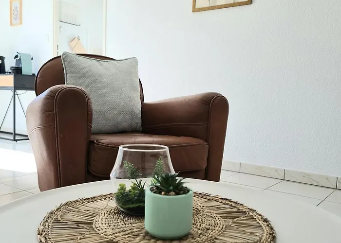 La Balière T3 Rénové Terrasse 20min Du Puy Dufou * Pouzauges