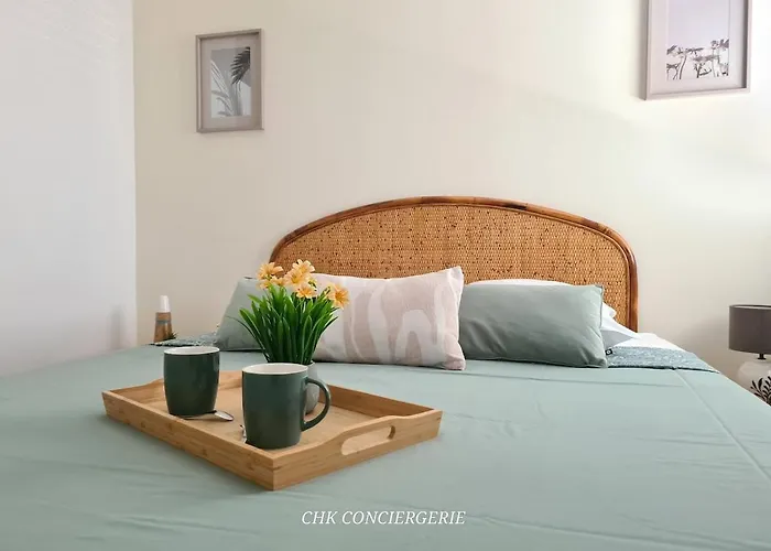 Appartement La Balière T3 Rénové Terrasse 20min Du Puy Dufou *