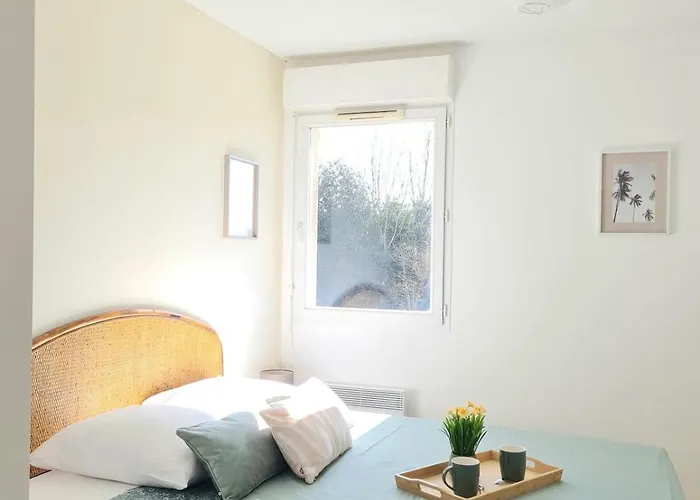 La Balière T3 Rénové Terrasse 20min Du Puy Dufou *